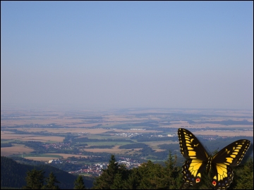 Inselsberg Nordblick